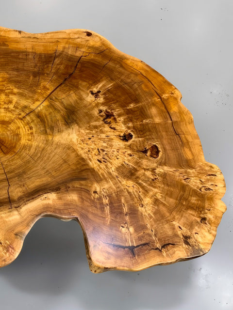 Solid poplar wood coffee table from a single tree trunk slice Charmant