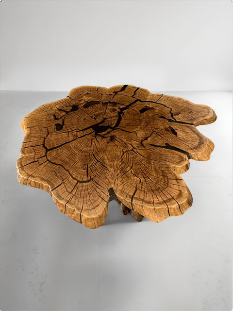 Organic coffee table from oak roots with smoky matte resin Vista
