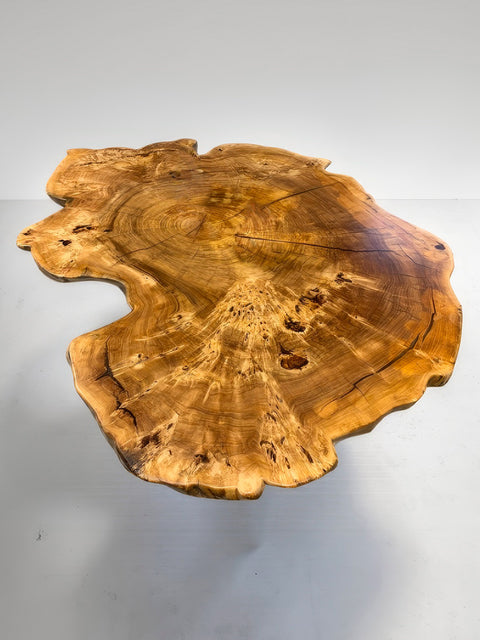 Solid poplar wood coffee table from a single tree trunk slice Charmant
