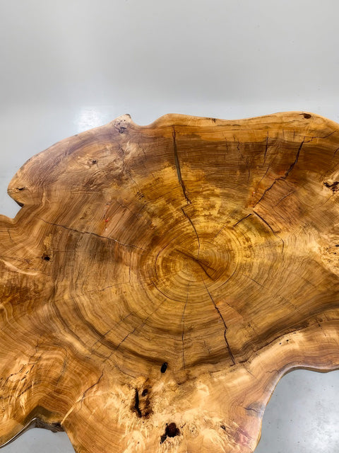 Solid poplar wood coffee table from a single tree trunk slice Charmant