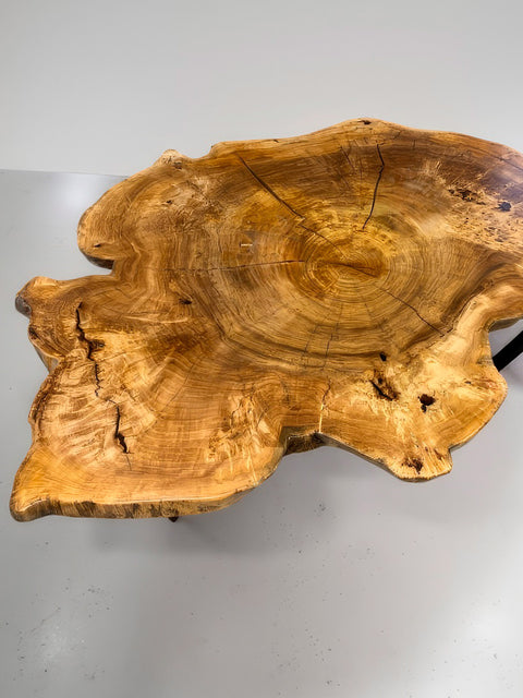 Solid poplar wood coffee table from a single tree trunk slice Charmant