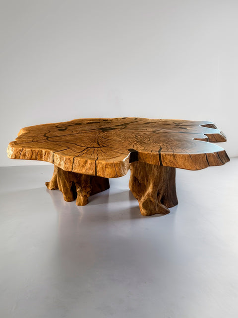 Organic coffee table from oak roots with smoky matte resin Vista